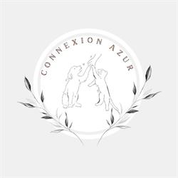 Connexion Azur, Flassans-sur-Issole - Horaires d'ouverture