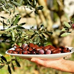 Amande Olive Et Chocolat, La Tour-d'Aigues - Horaires d'ouverture
