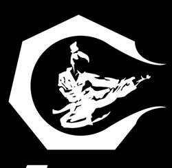 Dojeon Taekwondo Lyon, - Horaires d'ouverture
