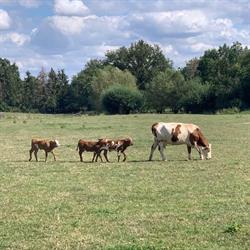 La ferme du Lehmberg, Rodemack - Horaires d'ouverture
