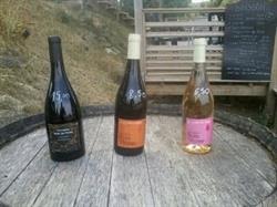 Domaine bois de rose pôle rc, Roquessels - Horaires d'ouverture