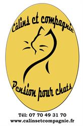 Câlins et compagnie, Pouldergat - Horaires d'ouverture