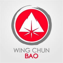 Wing chun bao - wing chun traditionnel Entre Deux Mers Bordeaux, Camblanes-et-Meynac - Horaires d'ouverture