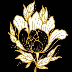 BLACK SHOOT Tattoo, Bergerac - Horaires d'ouverture