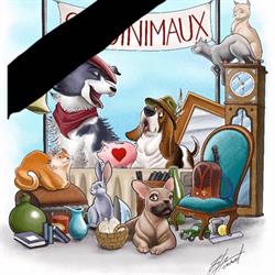 Boutique solidaire Savoinimaux, Rumilly - Horaires d'ouverture