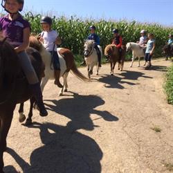 La Ferme d'EPONA, Wickersheim-Wilshausen - Horaires d'ouverture