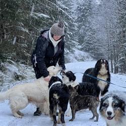 Pension Canine Chez Sophie, Le Bonhomme - Horaires d'ouverture