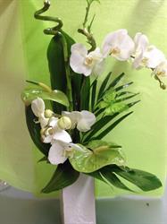 Laurence Fleurs, Lorgues - Horaires d'ouverture