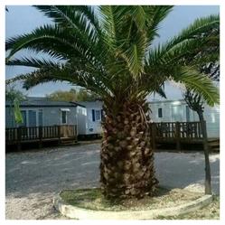 Camping Bar Horizon, Frontignan - Horaires d'ouverture