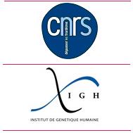 Institut de Génétique Humaine, Montpellier - Horaires d'ouverture