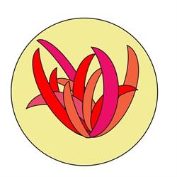 Atelier Le Yucca Rouge, Arcachon - Horaires d'ouverture