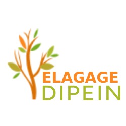 Elagage Dipein, Montgeron - Horaires d'ouverture