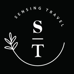 Sensing Travel, Nice - Horaires d'ouverture