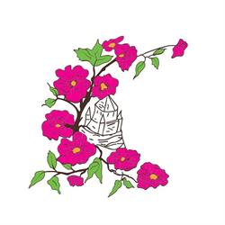 La Ronde des Abeilles, Provins - Horaires d'ouverture