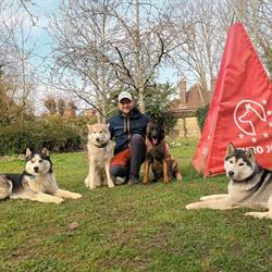 Education Canine - Nicolas Roussoulet, Flogny-la-Chapelle - Horaires d'ouverture