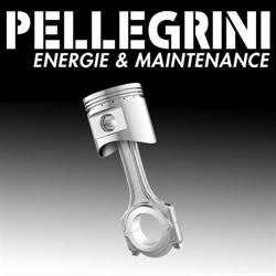 Pellegrini Energie & Maintenance, Elbach - Horaires d'ouverture