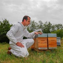 Le Rucher des Orchis, Pisieu - Horaires d'ouverture