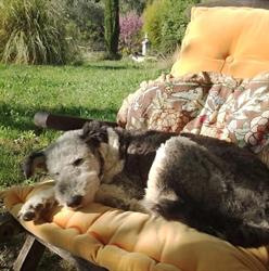 La Berlue des Baronnies, Buis-les-Baronnies - Horaires d'ouverture