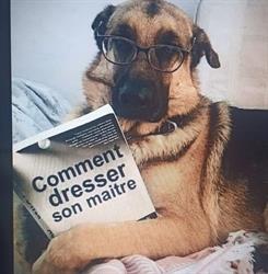 SAULXDOGS, Trémont-sur-Saulx - Horaires d'ouverture