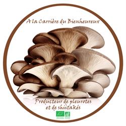 A la carrière du bienheureux, Saint-Gobain - Horaires d'ouverture
