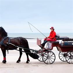 Calèche Le Frison d'Alex, Fort-Mahon-Plage - Horaires d'ouverture
