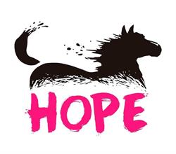 Association Hope, Saint-Cergues - Horaires d'ouverture