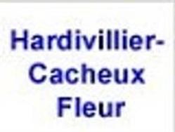 Hardivillier Cacheux Fleur, Beauvais - Horaires d'ouverture