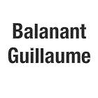 Balanant Guillaume, Fouesnant - Horaires d'ouverture