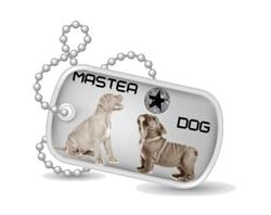 Master Dog, Saint-Gengoux-le-National - Horaires d'ouverture