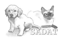 Sadat, Dax - Horaires d'ouverture