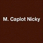 Caplot Nicky, Carentoir - Horaires d'ouverture