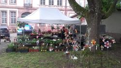 Au Fil des Fleurs, Geudertheim - Horaires d'ouverture