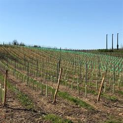 Clos De Baux, Chacé - Horaires d'ouverture