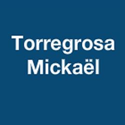 Torregrosa Mickaël, Bonnard - Horaires d'ouverture