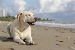 Cabello Florian, La Crau - Horaires d'ouverture