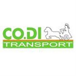 CODI, Lanester - Horaires d'ouverture