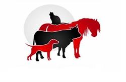 Veterinaire de l'huisne, Margon - Horaires d'ouverture