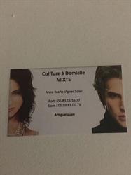 Vignes Soler Anne-marie, Artiguelouve - Horaires d'ouverture