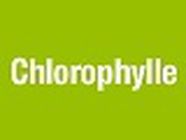 Chlorophylle, Thouars - Horaires d'ouverture