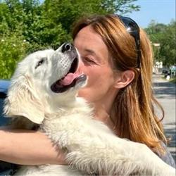 Les Chiens du Lac, Seynod - Horaires d'ouverture