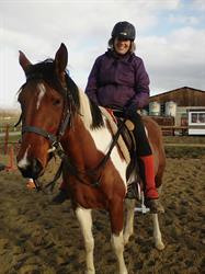 Les Poneys De Penol, - Horaires d'ouverture