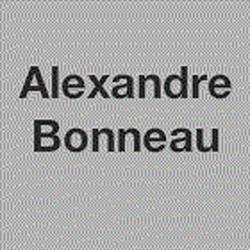 Bonneau Alexandre, Saint-Trivier-de-Courtes - Horaires d'ouverture