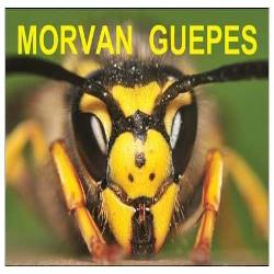 Morvan Guêpes & Ramonage, Curgy - Horaires d'ouverture