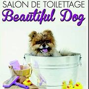 Beautiful Dog, Lubersac - Horaires d'ouverture