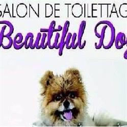Beautiful Dog, Lubersac - Horaires d'ouverture