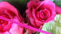 L'Art Floral Christine Millet, Villemoustaussou - Horaires d'ouverture