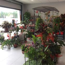 Fleurs et Passion, Damazan - Horaires d'ouverture