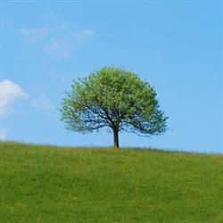 Thomas Chauvière, La Séguinière - Horaires d'ouverture