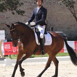 Haras de Civens (Chevaux De Pure Race Espagnole), - Horaires d'ouverture