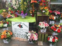 Eliezer Fleurs EURL, Baugé-en-Anjou - Horaires d'ouverture